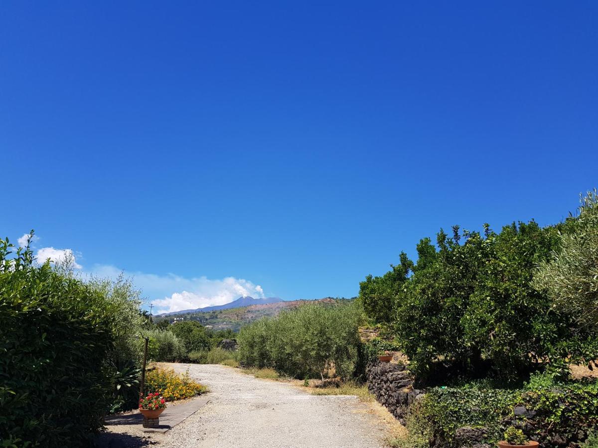 Agriturismo Le Case Di Civi Маскали Экстерьер фото