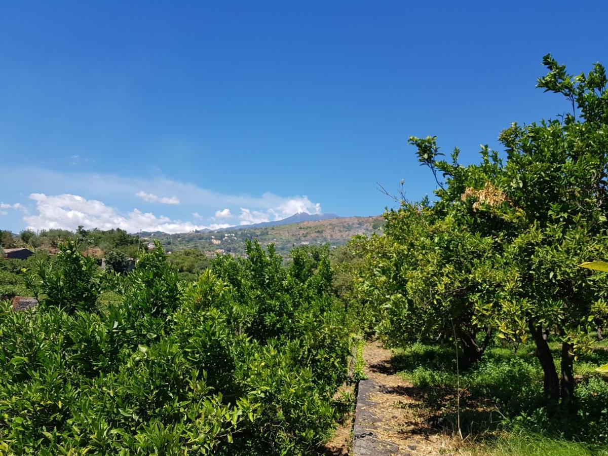 Agriturismo Le Case Di Civi Маскали Экстерьер фото