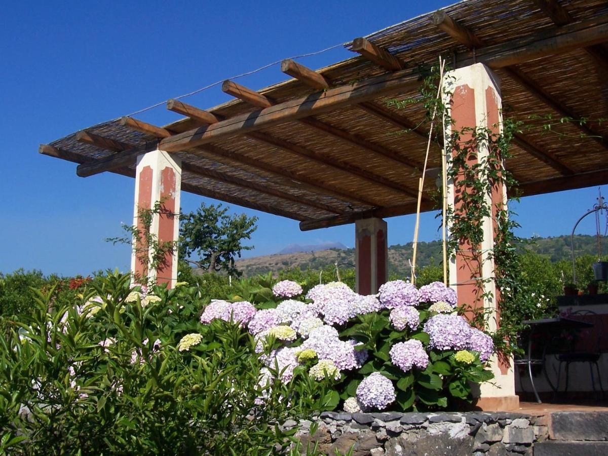 Agriturismo Le Case Di Civi Маскали Экстерьер фото